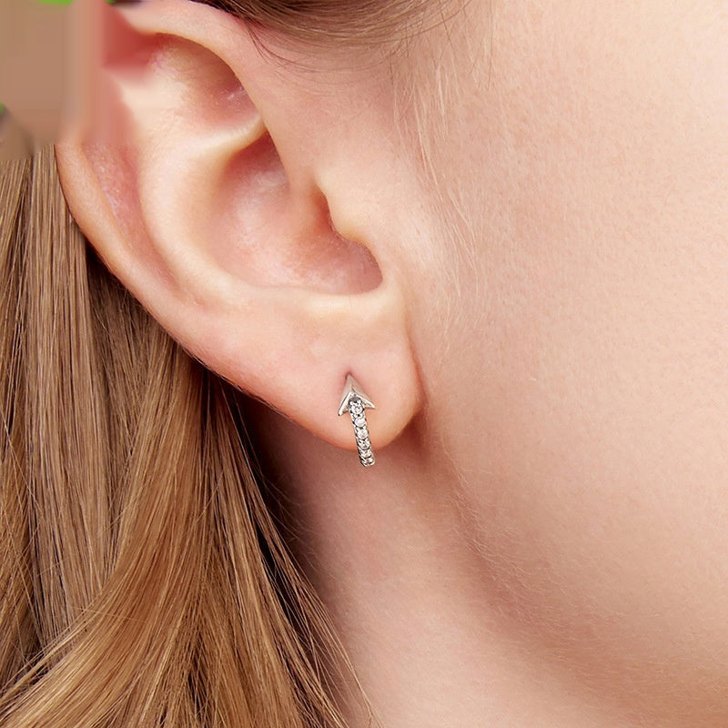 S925 Sterling Silver Earrings