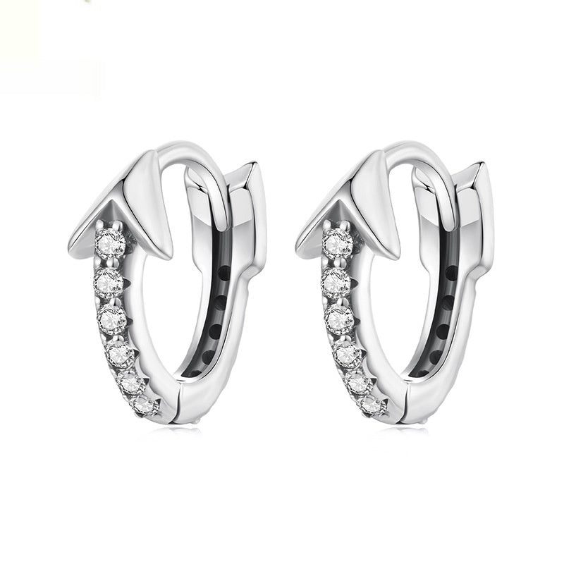 S925 Sterling Silver Earrings